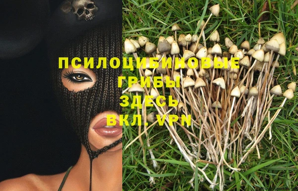 а пвп мука Алексин
