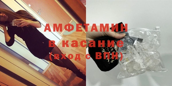 прущие грибы Магас