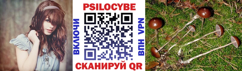 KRAKEN онион  купить   Электрогорск  Псилоцибиновые грибы Cubensis 