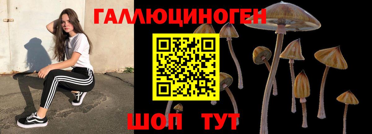 Электрогорск  как найти закладки  Вход с VPN  Галлюциногенные грибы MAGIC MUSHROOMS 