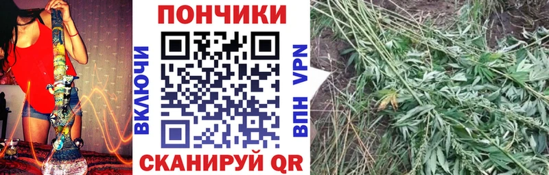 МАРИХУАНА сатива  Электрогорск 
